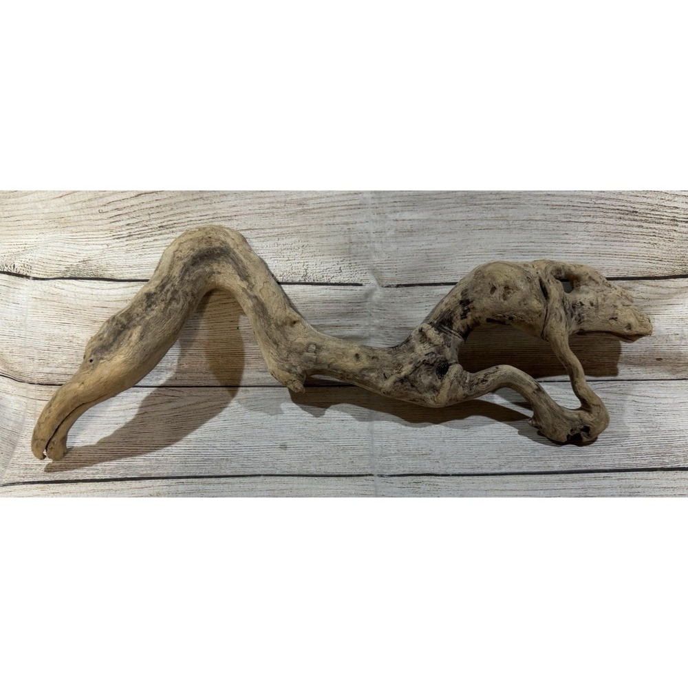 Vtg Piece of Driftwood that looks like a Dinosaur or Snake 17" long UNIQUE GTbB3